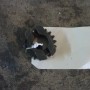 DSCF2324